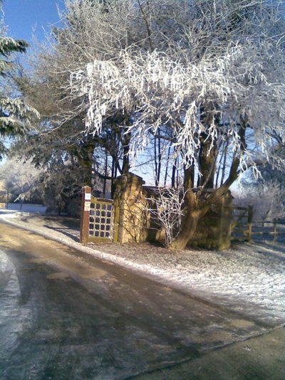 Image009.jpg