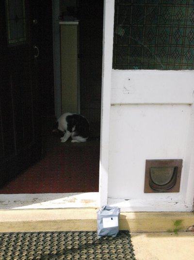 E3268134.jpg