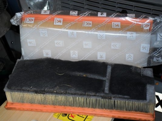 citroen_c4_air_filter_dirty.jpeg