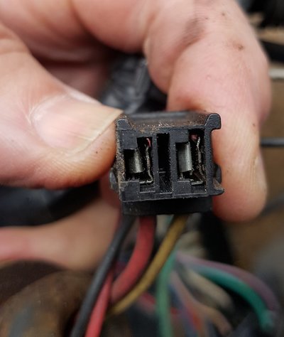 1770126333205.jpeg 1770126333205.jpeg