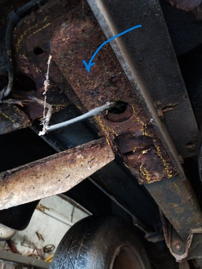 1772628544608.jpeg 1772628544608.jpeg