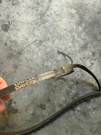 IMG_2649.jpeg IMG_2649.jpeg