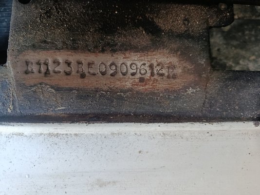 1000008974.jpg