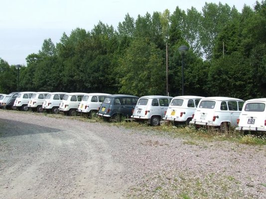 Line up of Renault 4's (4).jpg
