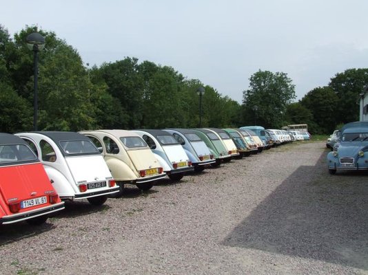Line up of Renault 4's (6).jpg