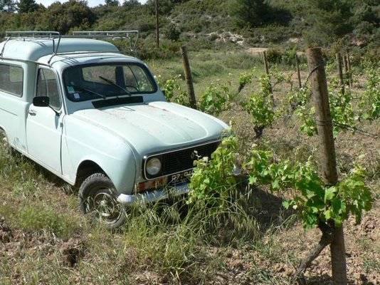 vines 4L.jpg