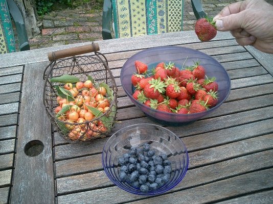 MB fruit.jpg