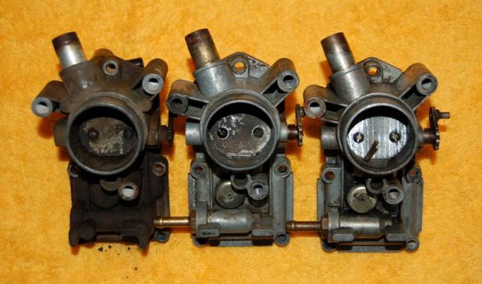 Zenith-04.jpg