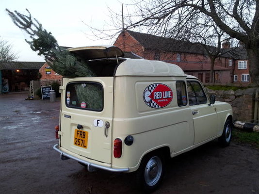 Renault 4 Van Til Salg
