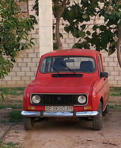 photo 1 (13).JPG