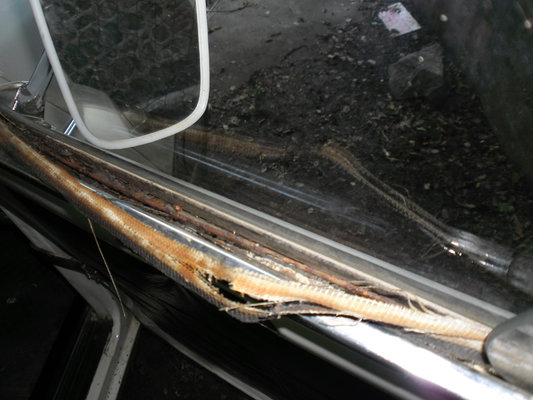 window channel2.JPG