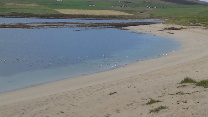 20140815_061428.jpg