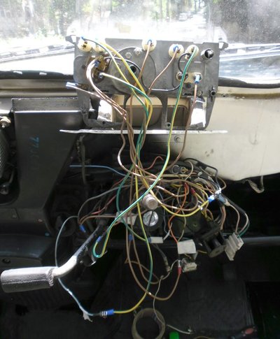 rats nest.JPG