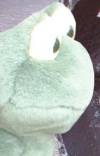 Frederick the Frog