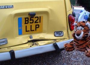 Ermintrude's Crash