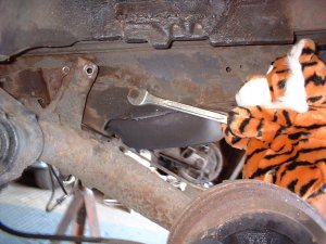 Cat removing rear suspension bolts