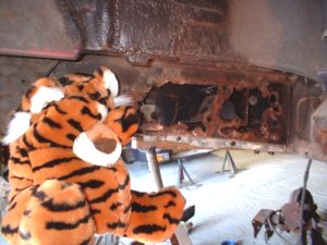 Cat horrified at extent of rust