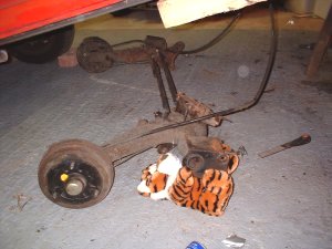 Cat crushed under rear suspension