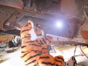 Cat with welder